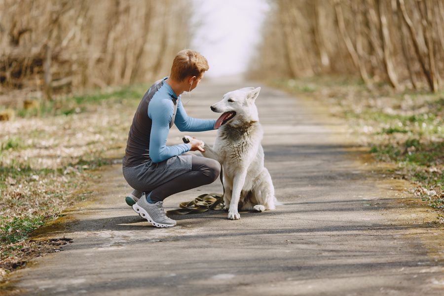 Module B. De mens achter de hond